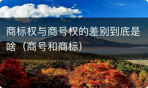 商标权与商号权的差别到底是啥（商号和商标）