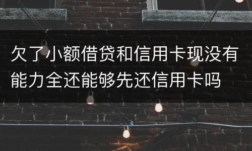 欠了小额借贷和信用卡现没有能力全还能够先还信用卡吗