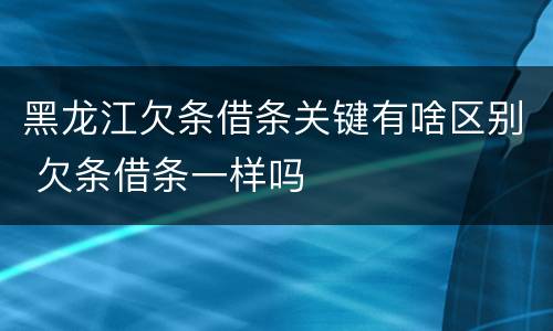 黑龙江欠条借条关键有啥区别 欠条借条一样吗