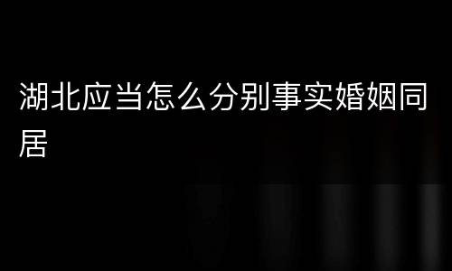 湖北应当怎么分别事实婚姻同居