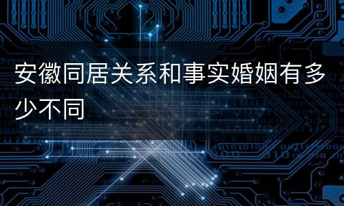 安徽同居关系和事实婚姻有多少不同