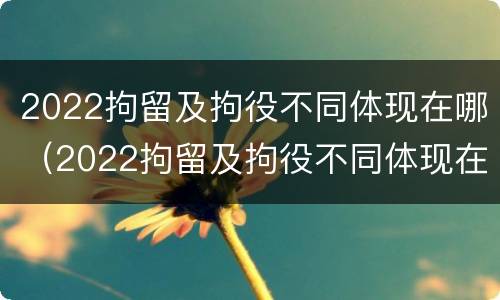 2022拘留及拘役不同体现在哪（2022拘留及拘役不同体现在哪些地方）