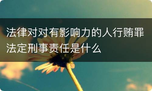 法律对对有影响力的人行贿罪法定刑事责任是什么