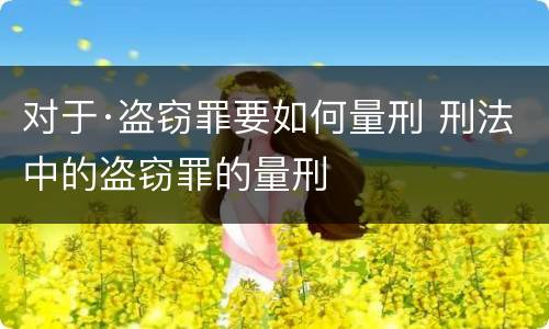 对于·盗窃罪要如何量刑 刑法中的盗窃罪的量刑
