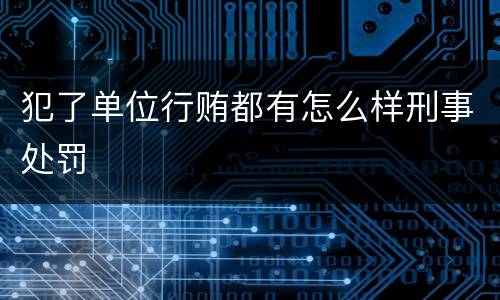 犯了单位行贿都有怎么样刑事处罚