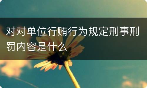 对对单位行贿行为规定刑事刑罚内容是什么