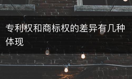 专利权和商标权的差异有几种体现