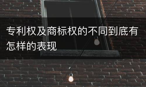 专利权及商标权的不同到底有怎样的表现