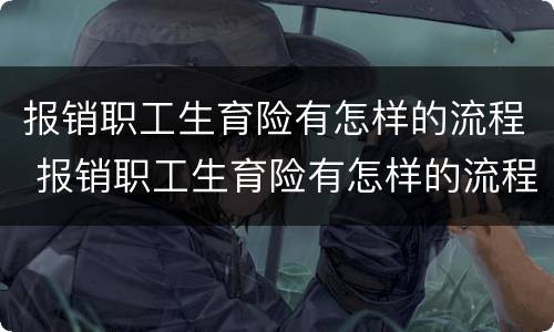 报销职工生育险有怎样的流程 报销职工生育险有怎样的流程呢