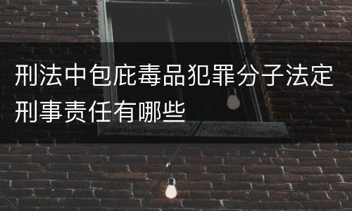刑法中包庇毒品犯罪分子法定刑事责任有哪些