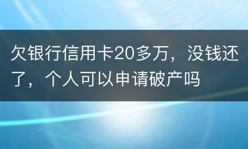 欠银行信用卡20多万，没钱还了，个人可以申请破产吗