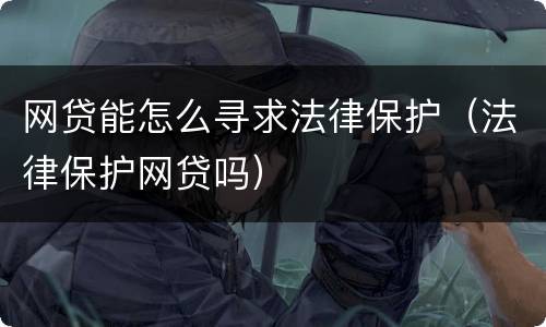 网贷能怎么寻求法律保护（法律保护网贷吗）
