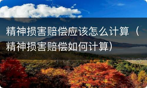 精神损害赔偿应该怎么计算（精神损害赔偿如何计算）