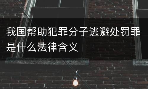 我国帮助犯罪分子逃避处罚罪是什么法律含义
