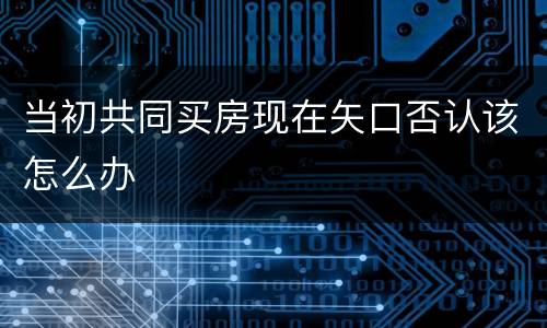当初共同买房现在矢口否认该怎么办