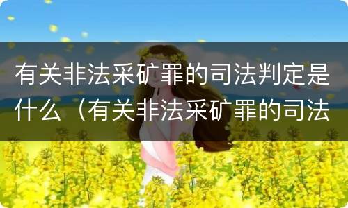 有关非法采矿罪的司法判定是什么（有关非法采矿罪的司法判定是什么案件）