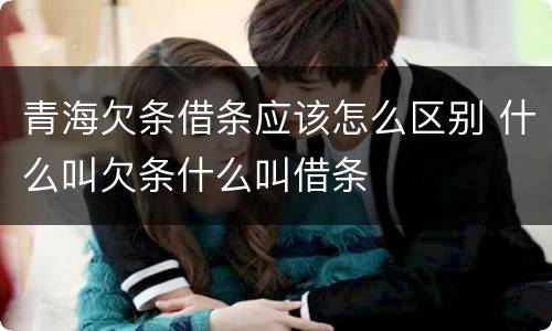 青海欠条借条应该怎么区别 什么叫欠条什么叫借条