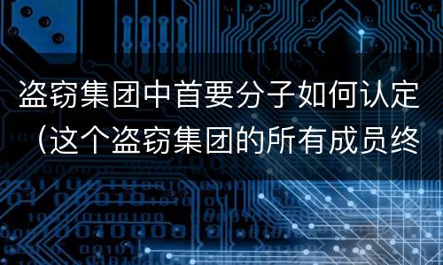 盗窃集团中首要分子如何认定（这个盗窃集团的所有成员终于被公安人员一网打尽）