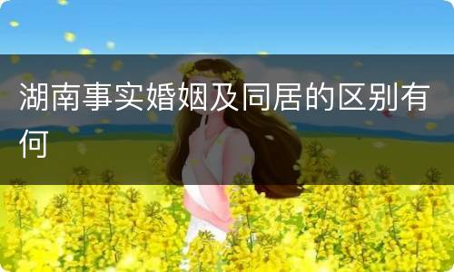 湖南事实婚姻及同居的区别有何