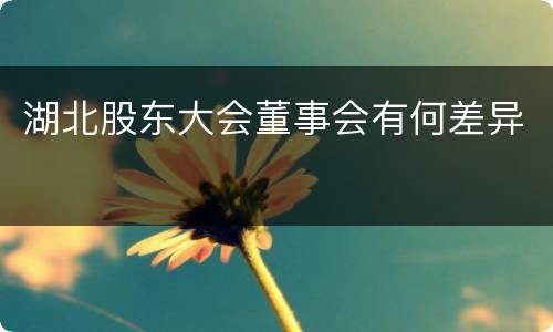 湖北股东大会董事会有何差异