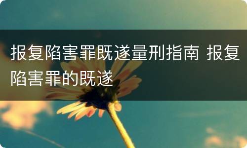 报复陷害罪既遂量刑指南 报复陷害罪的既遂