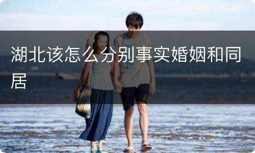 湖北该怎么分别事实婚姻和同居