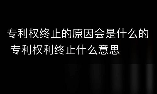 专利权终止的原因会是什么的 专利权利终止什么意思