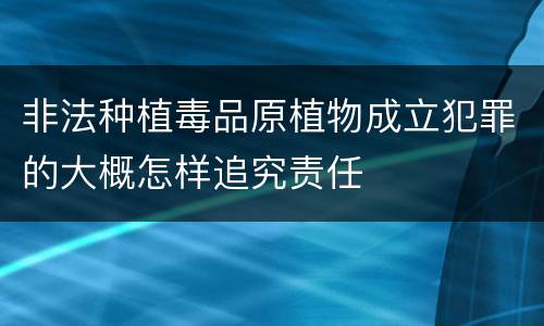 非法种植毒品原植物成立犯罪的大概怎样追究责任