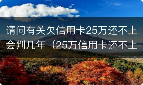 请问有关欠信用卡25万还不上会判几年（25万信用卡还不上怎么办）