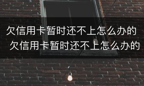 欠信用卡暂时还不上怎么办的 欠信用卡暂时还不上怎么办的银行