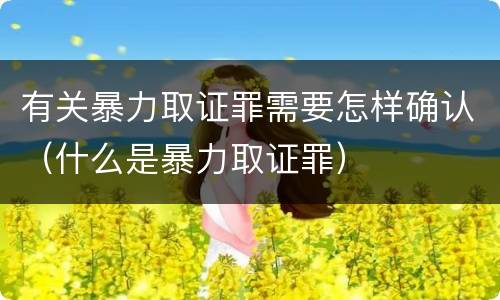 有关暴力取证罪需要怎样确认（什么是暴力取证罪）