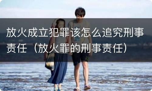 放火成立犯罪该怎么追究刑事责任（放火罪的刑事责任）