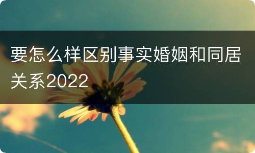 要怎么样区别事实婚姻和同居关系2022
