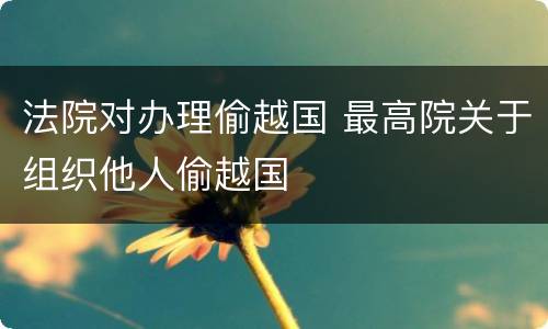 法院对办理偷越国 最高院关于组织他人偷越国