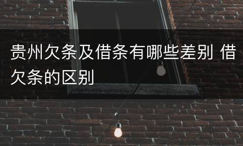 贵州欠条及借条有哪些差别 借欠条的区别