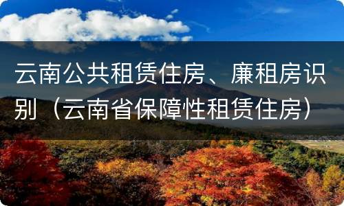 云南公共租赁住房、廉租房识别（云南省保障性租赁住房）