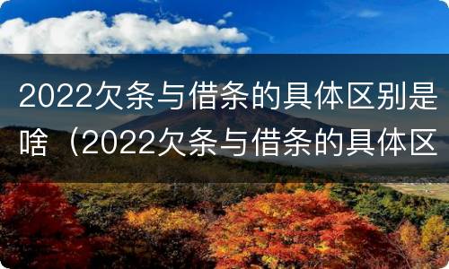 2022欠条与借条的具体区别是啥（2022欠条与借条的具体区别是啥呢）