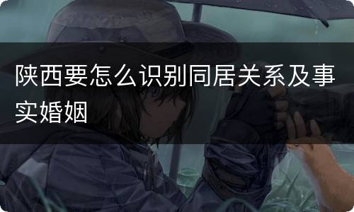 陕西要怎么识别同居关系及事实婚姻