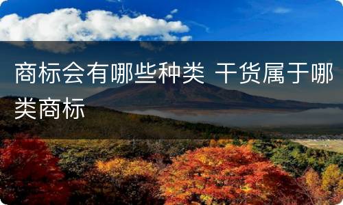 商标会有哪些种类 干货属于哪类商标