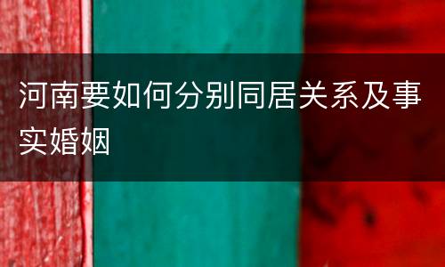 河南要如何分别同居关系及事实婚姻