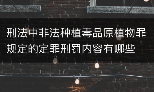 刑法中非法种植毒品原植物罪规定的定罪刑罚内容有哪些