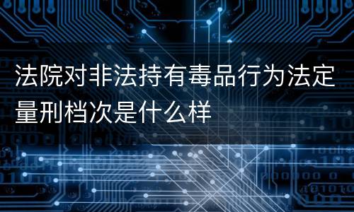 法院对非法持有毒品行为法定量刑档次是什么样