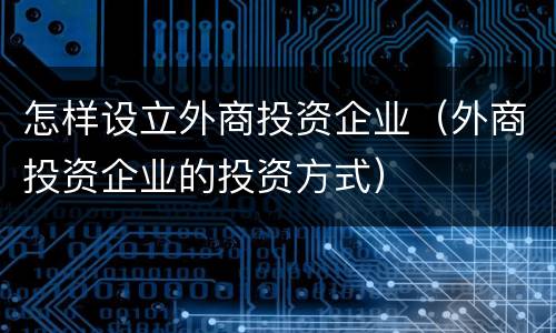 怎样设立外商投资企业（外商投资企业的投资方式）
