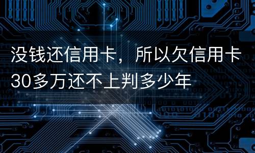 没钱还信用卡，所以欠信用卡30多万还不上判多少年