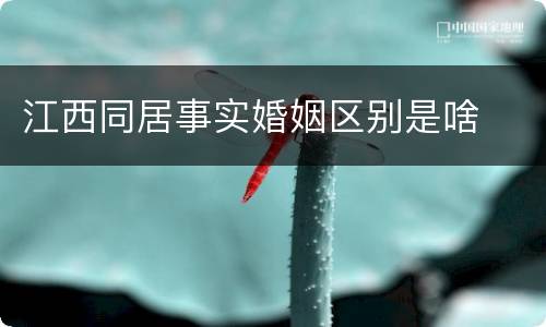 江西同居事实婚姻区别是啥