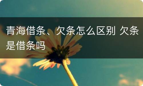 青海借条、欠条怎么区别 欠条是借条吗