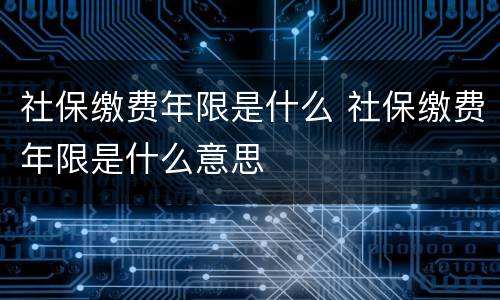 社保缴费年限是什么 社保缴费年限是什么意思