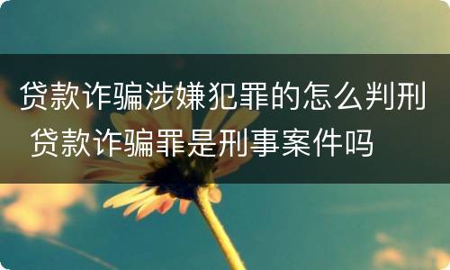 贷款诈骗涉嫌犯罪的怎么判刑 贷款诈骗罪是刑事案件吗