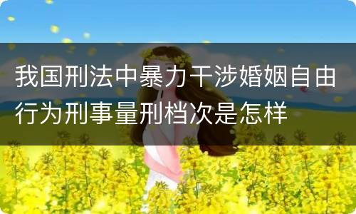我国刑法中暴力干涉婚姻自由行为刑事量刑档次是怎样