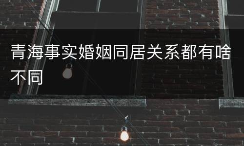 青海事实婚姻同居关系都有啥不同